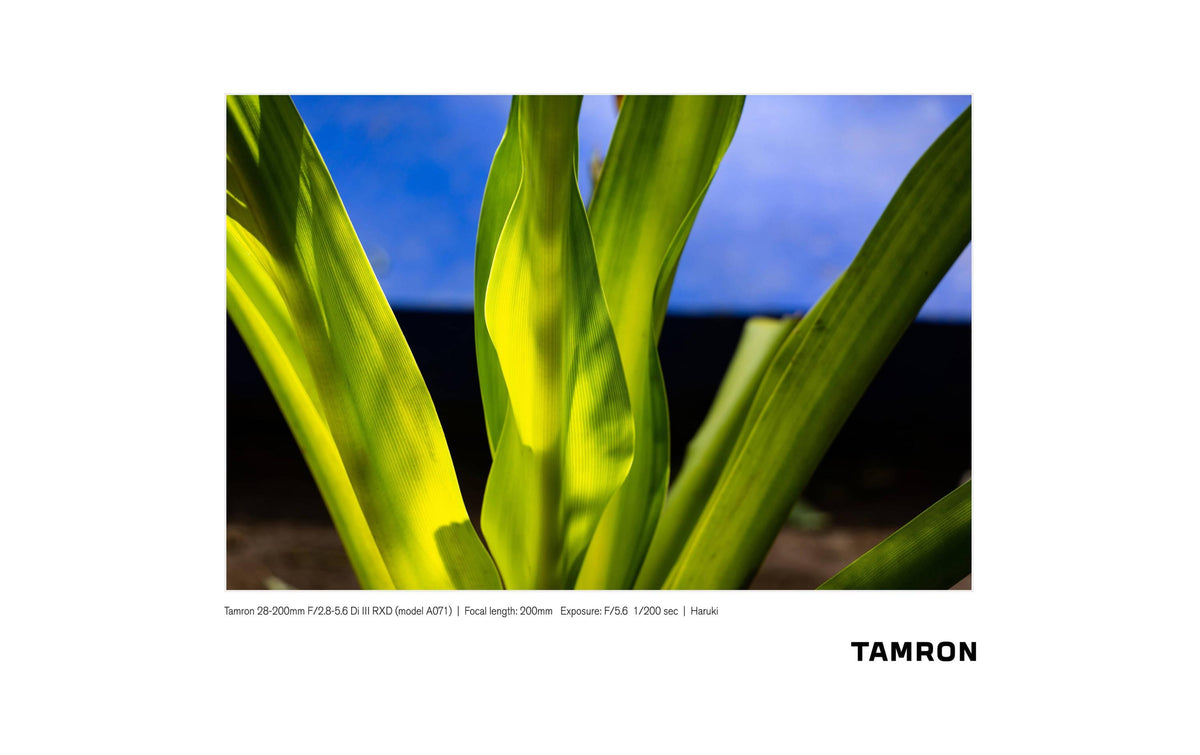 Tamron 28–200 mm f/2.8–5.6 Di III RXD Standardzoomobjektiv – für Sony E-Mount – 67 mm Filter, 575 g