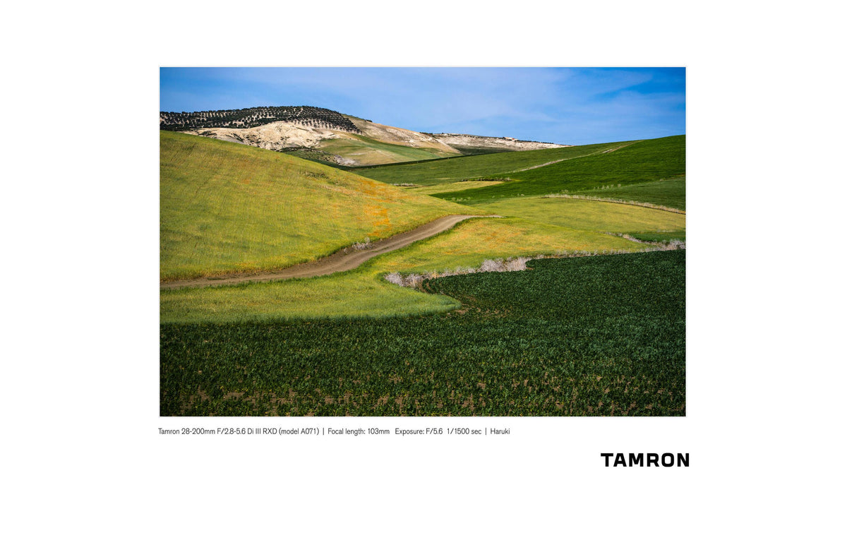 Tamron 28–200 mm f/2.8–5.6 Di III RXD Standardzoomobjektiv – für Sony E-Mount – 67 mm Filter, 575 g