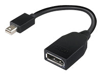 Lenovo Mini DisplayPort (Stecker) auf DisplayPort (Buchse) Adapter, 20 cm