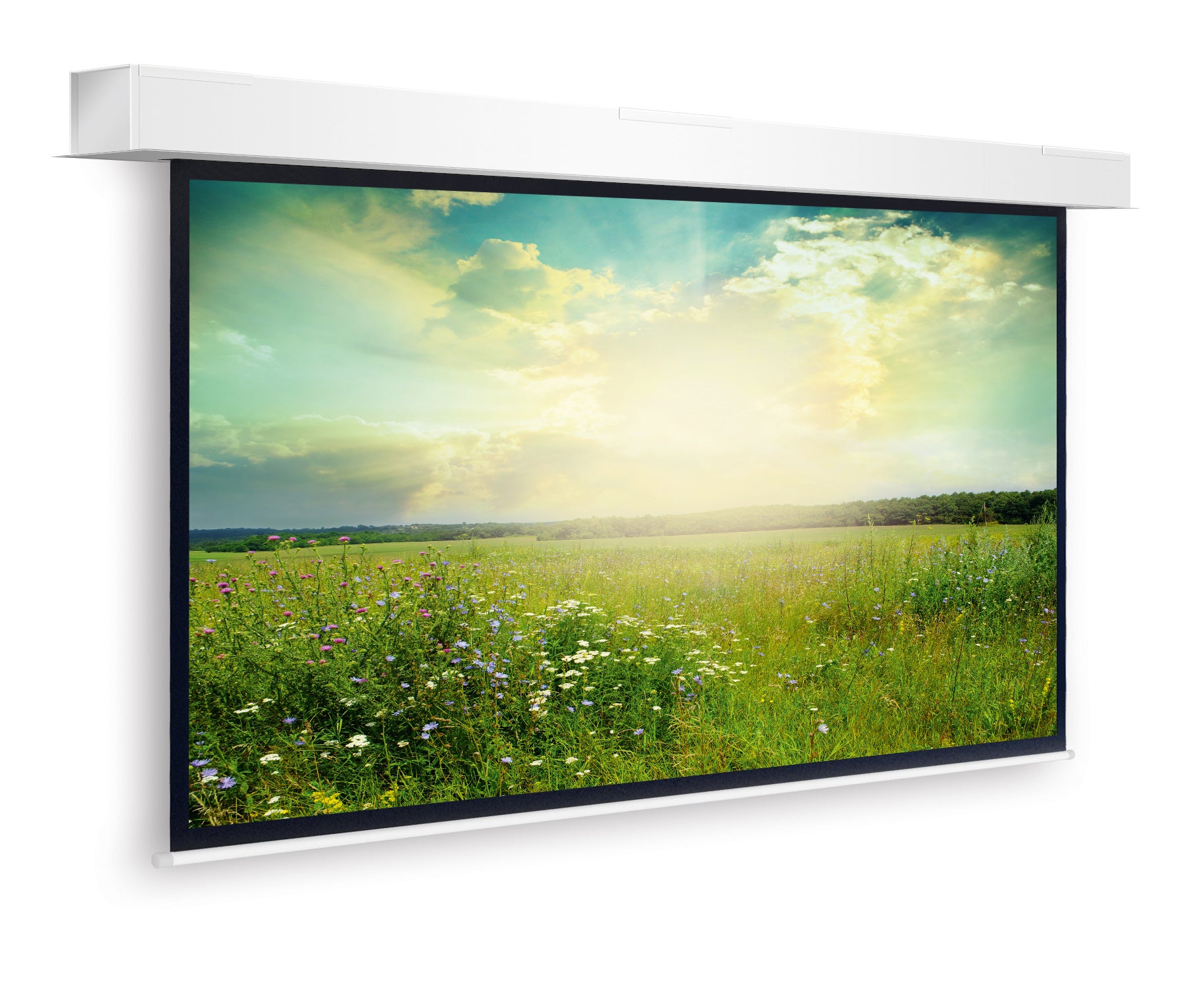 Da-Lite Descender Large Electrol WS 368 – Elektrische Leinwand, 4:3, 368 × 490 cm (241,3")