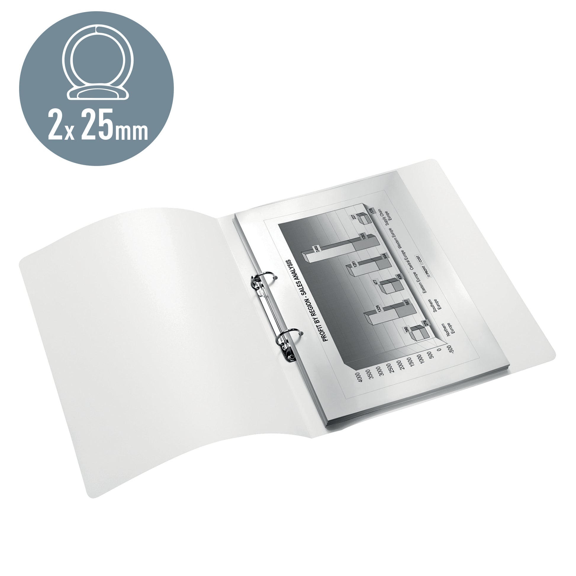 Leitz Ordner – A4 – grün