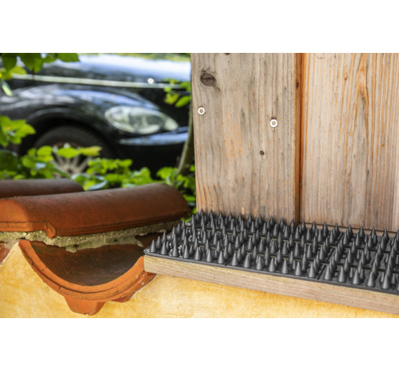 Windhager Tierabwehr-Barriere – 49 × 4,5 cm – grau – 10 Stk. – für Marder, Vögel, Tauben