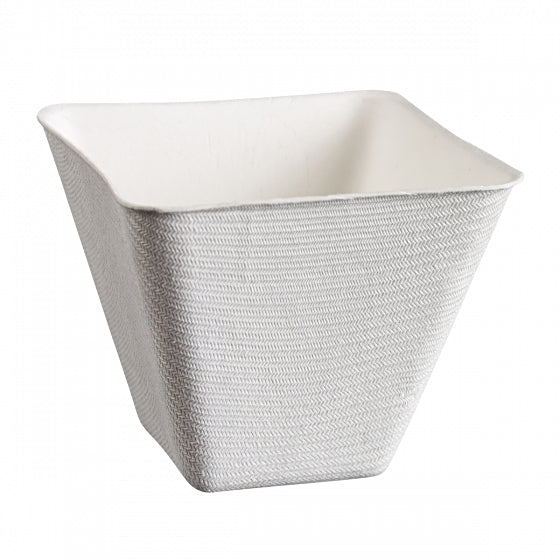Schale Emerald, Bagasse (Zuckerrohr), PLA-beschichtet, rechteckig – 155 ml – 50 Stk.