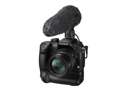 Panasonic DMW-MS2E – Richtrohrmikrofon, Video, für Lumix DMC-FZ1000, FZ2000, FZ2500 und andere, schwarz