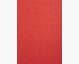 Exacompta Umschlagdeckel – Rot, Karton – 100 Stk.