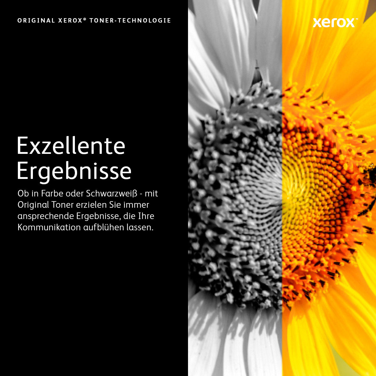 Xerox 106R03739 Magenta Toner – Original XXL – 16'500 Seiten – für Xerox VersaLink C7020/C7025/C7030