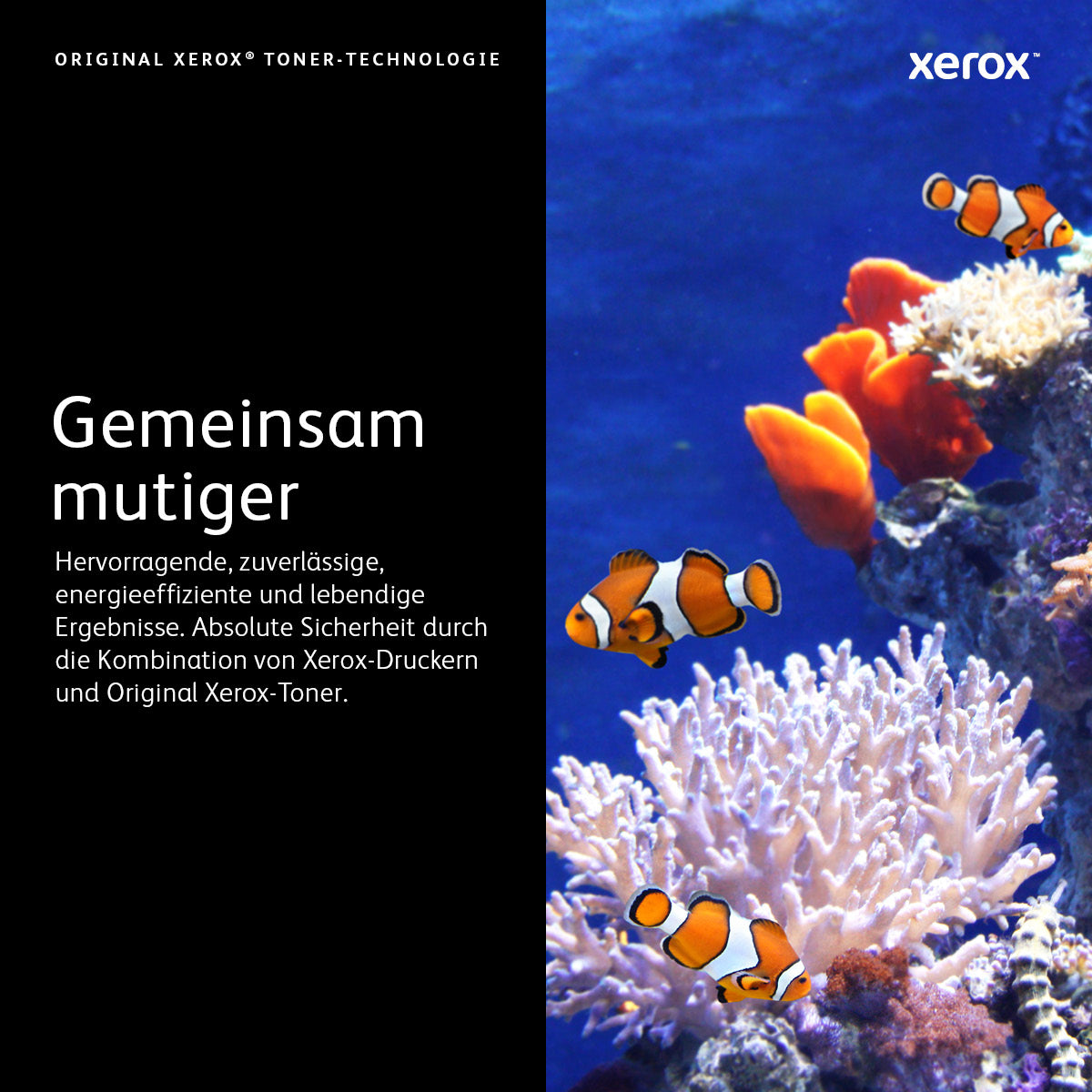 Xerox 106R03739 Magenta Toner – Original XXL – 16'500 Seiten – für Xerox VersaLink C7020/C7025/C7030
