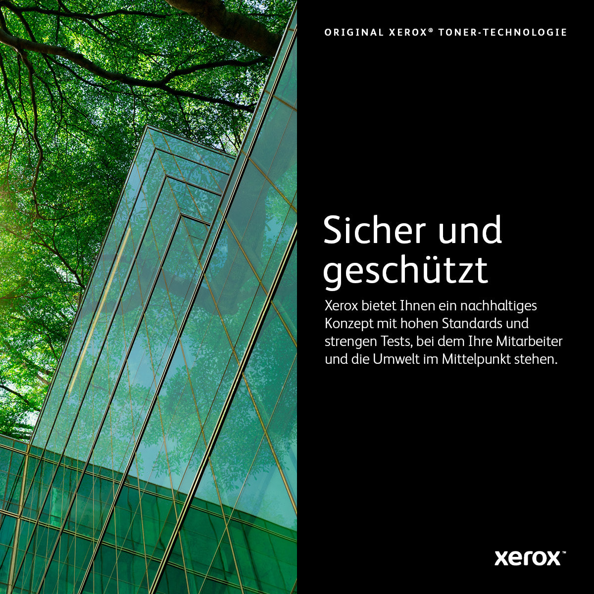 Xerox 6R1514 (006R01514) Gelber Toner – Original – für Xerox WorkCentre 7525/7530/7535 und andere