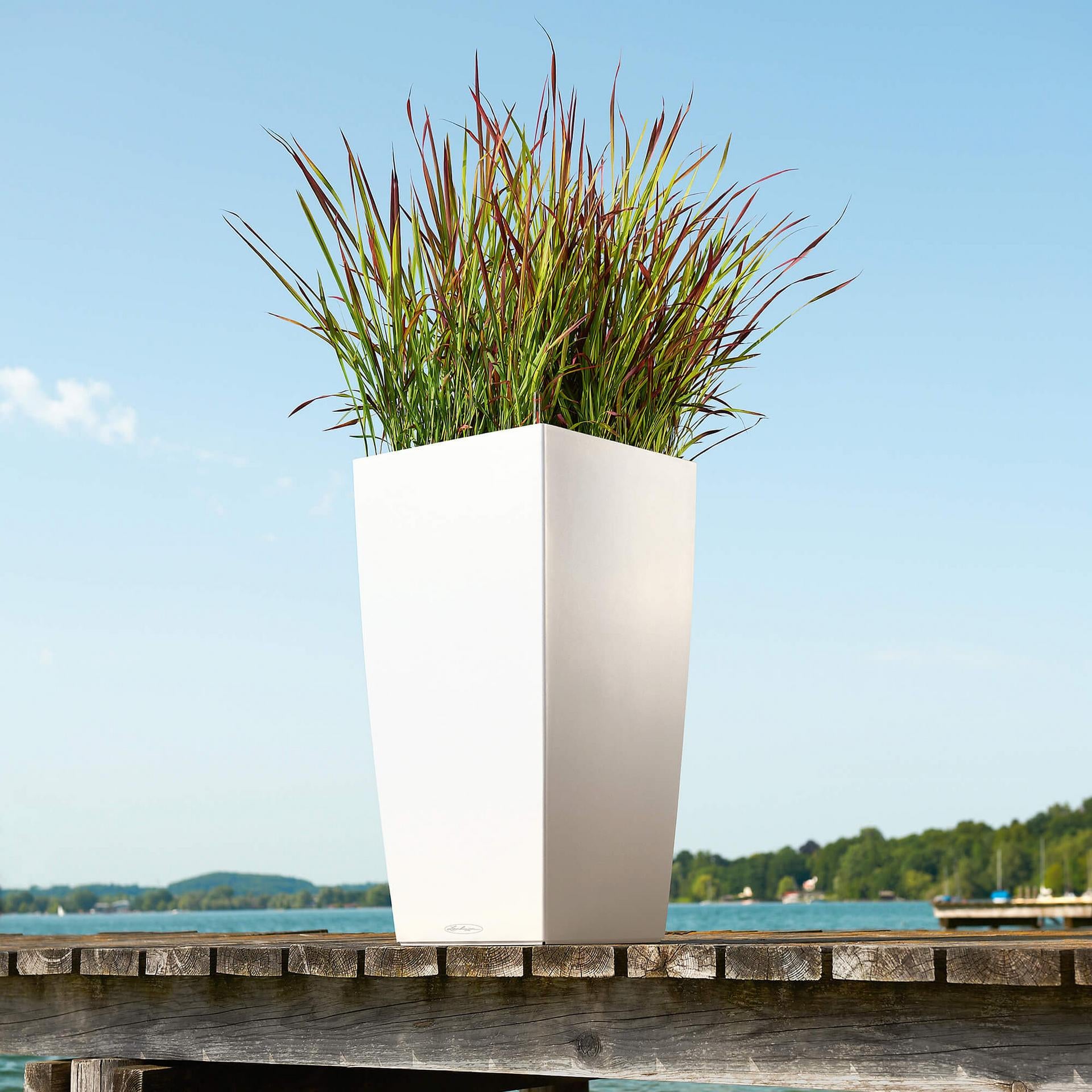 LECHUZA Topfpflanzer – 39,5 × 75,5 × 39,5 cm – Kunststoff, sandbraun