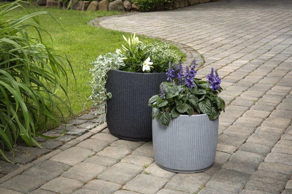 Scheurich Topfpflanzer – 35 l, 38,6 × 35,3 cm – Kunststoff, mehrfarbig