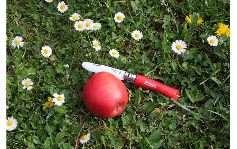 Opinel N°07 Mein Erstes – Klappmesser 80 mm, Holzgriff, Rot