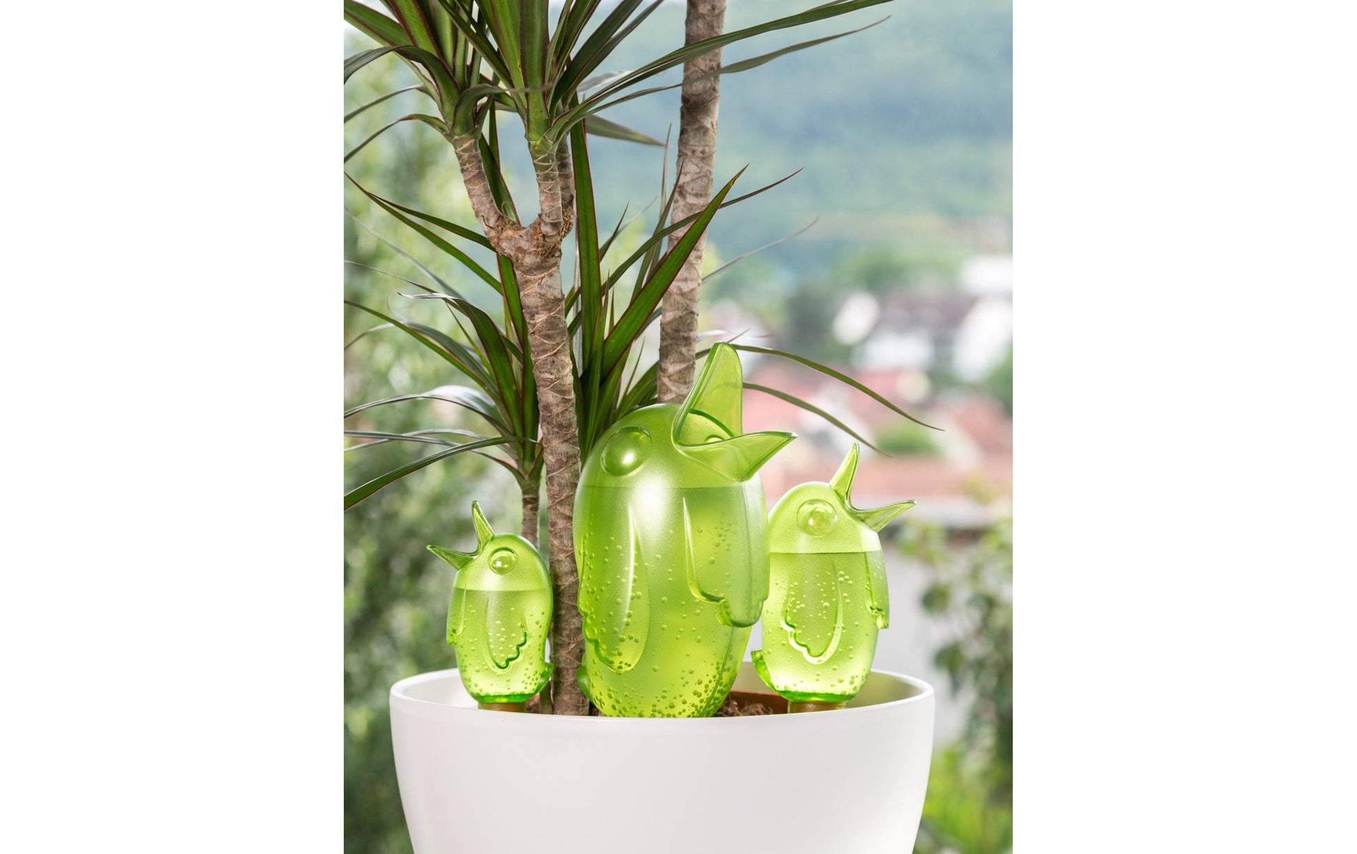 Scheurich Bördy XL Bewässerungssystem – 29 × 9,2 cm – Kunststoff, Transparent – 1-teilig