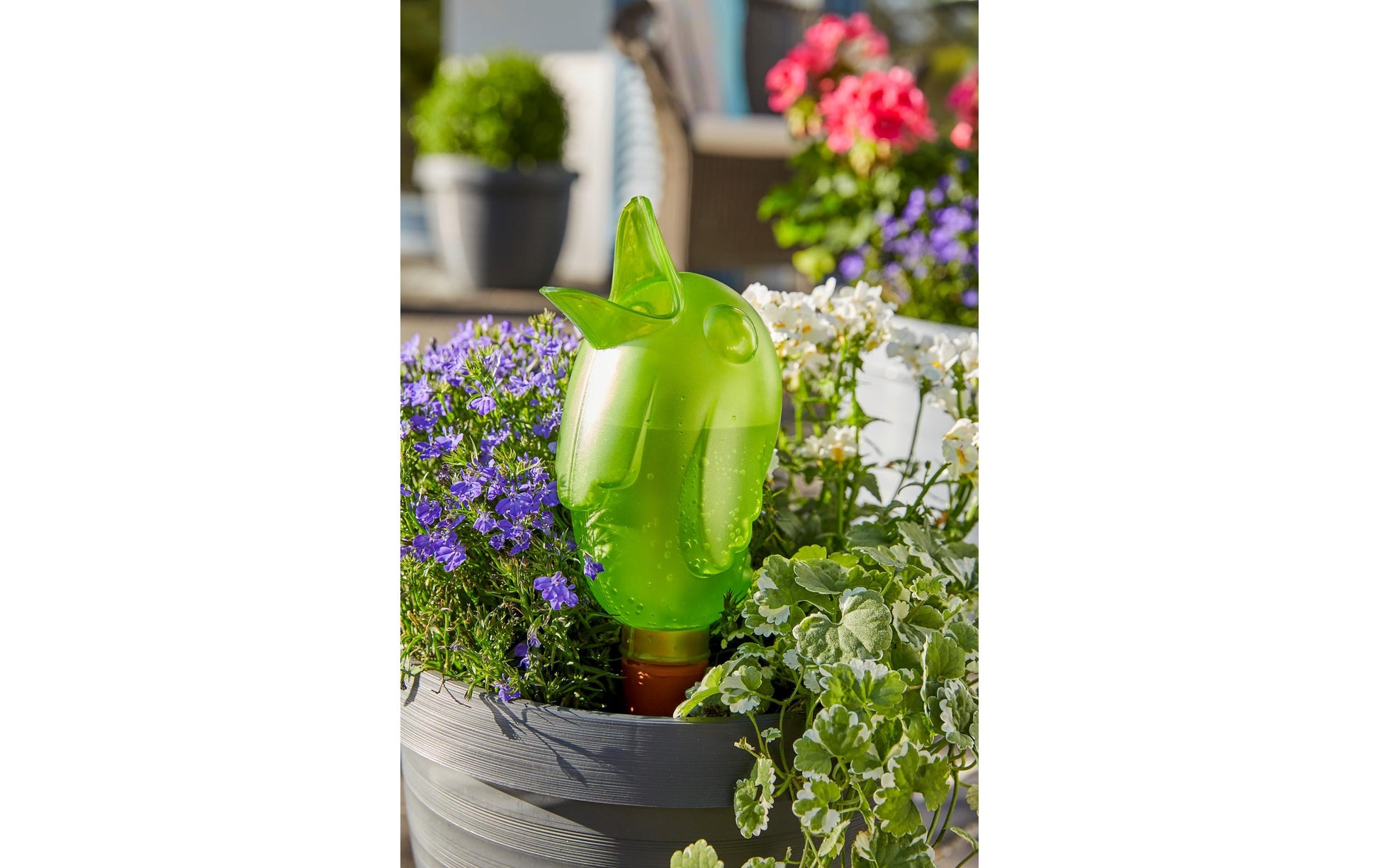 Scheurich Bördy XL Bewässerungssystem – 29 × 9,2 cm – Kunststoff, Transparent – 1-teilig