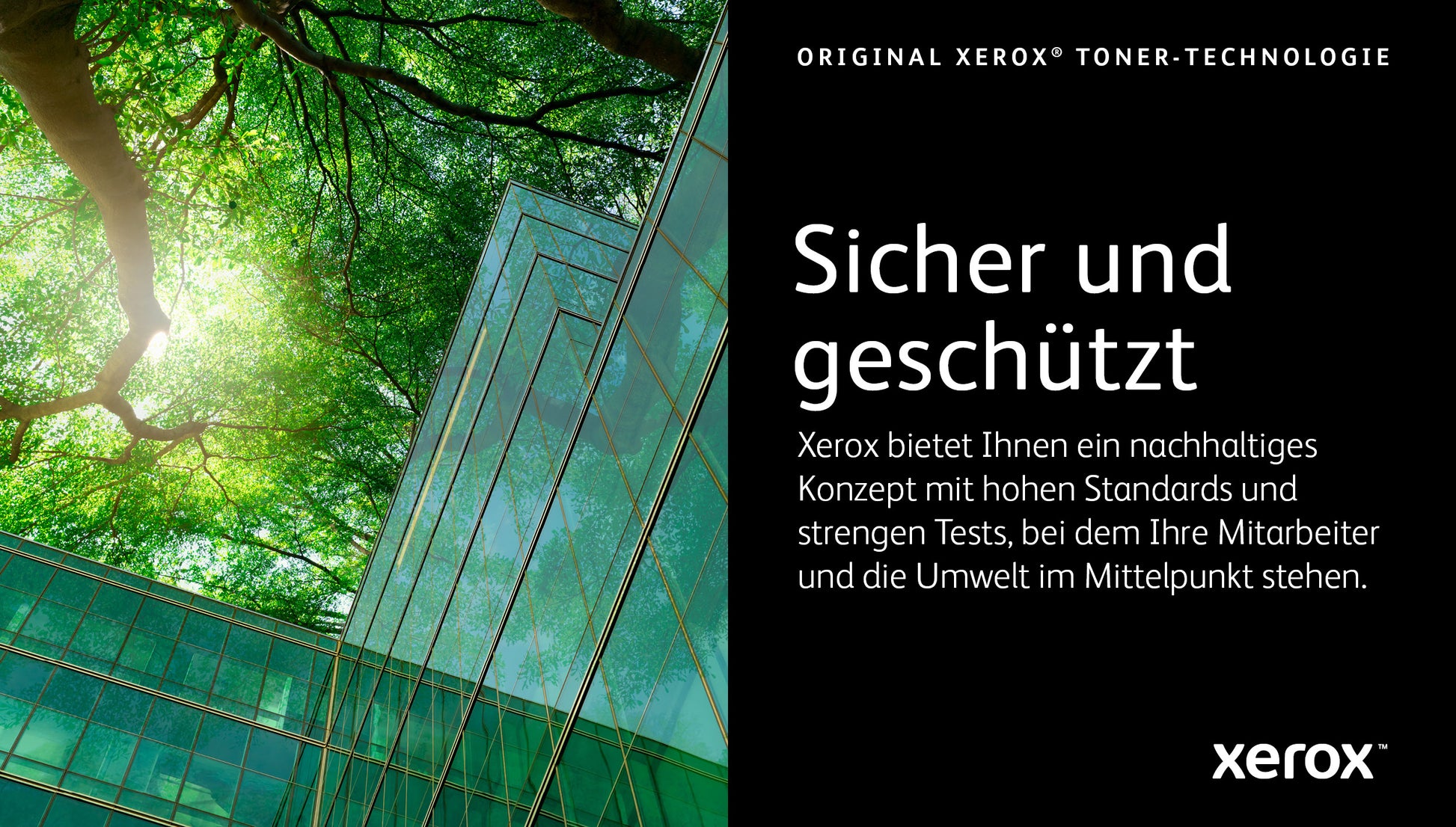 Xerox Toner – cyan, 2000 Seiten