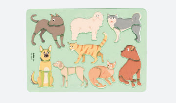 Folia Schablonen-Set – Zoo, Kunststoff, Grün, Set, 6-teilig, zum Basteln