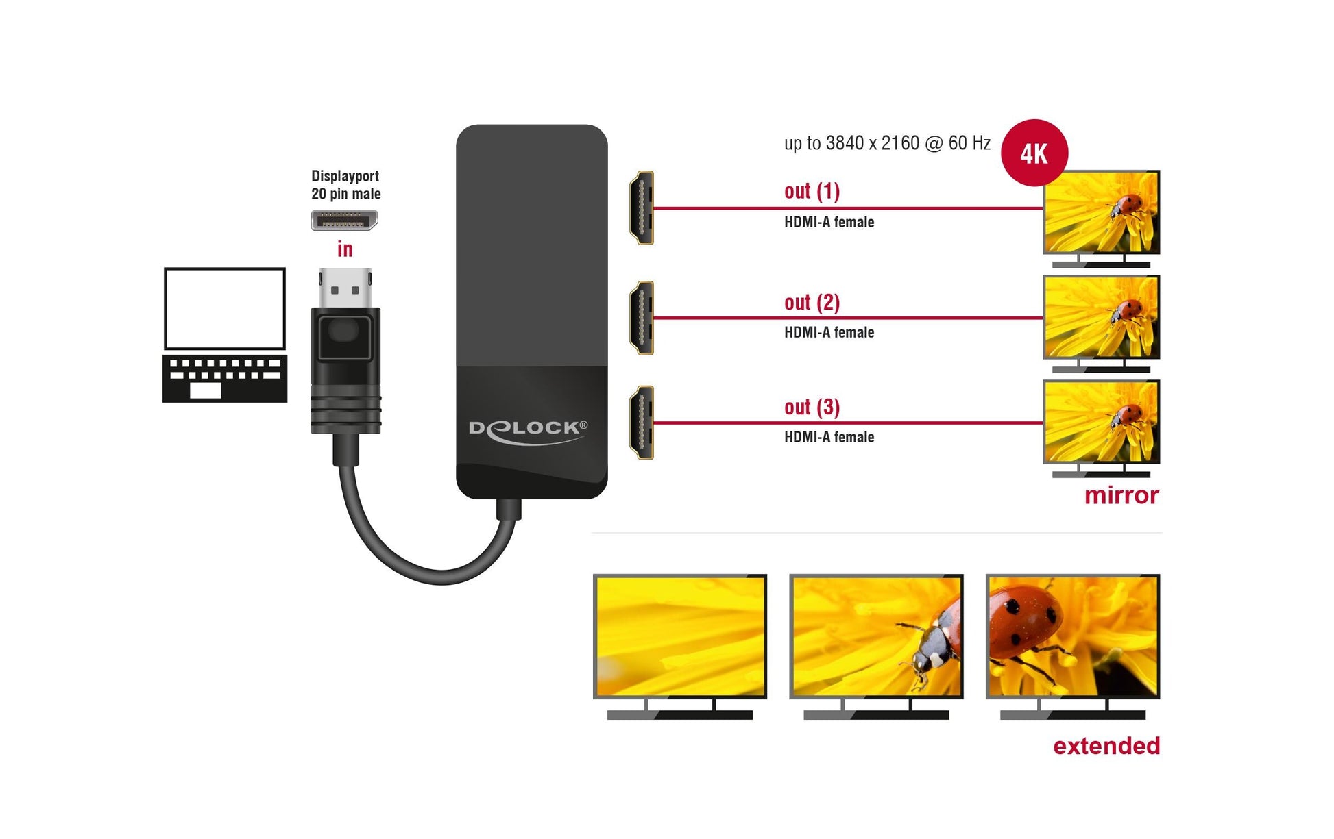DeLOCK DP 1.4 Splitter – DisplayPort zu 3× HDMI, 4K UHD bis 30 Hz, MST – für DisplayPort – Schwarz