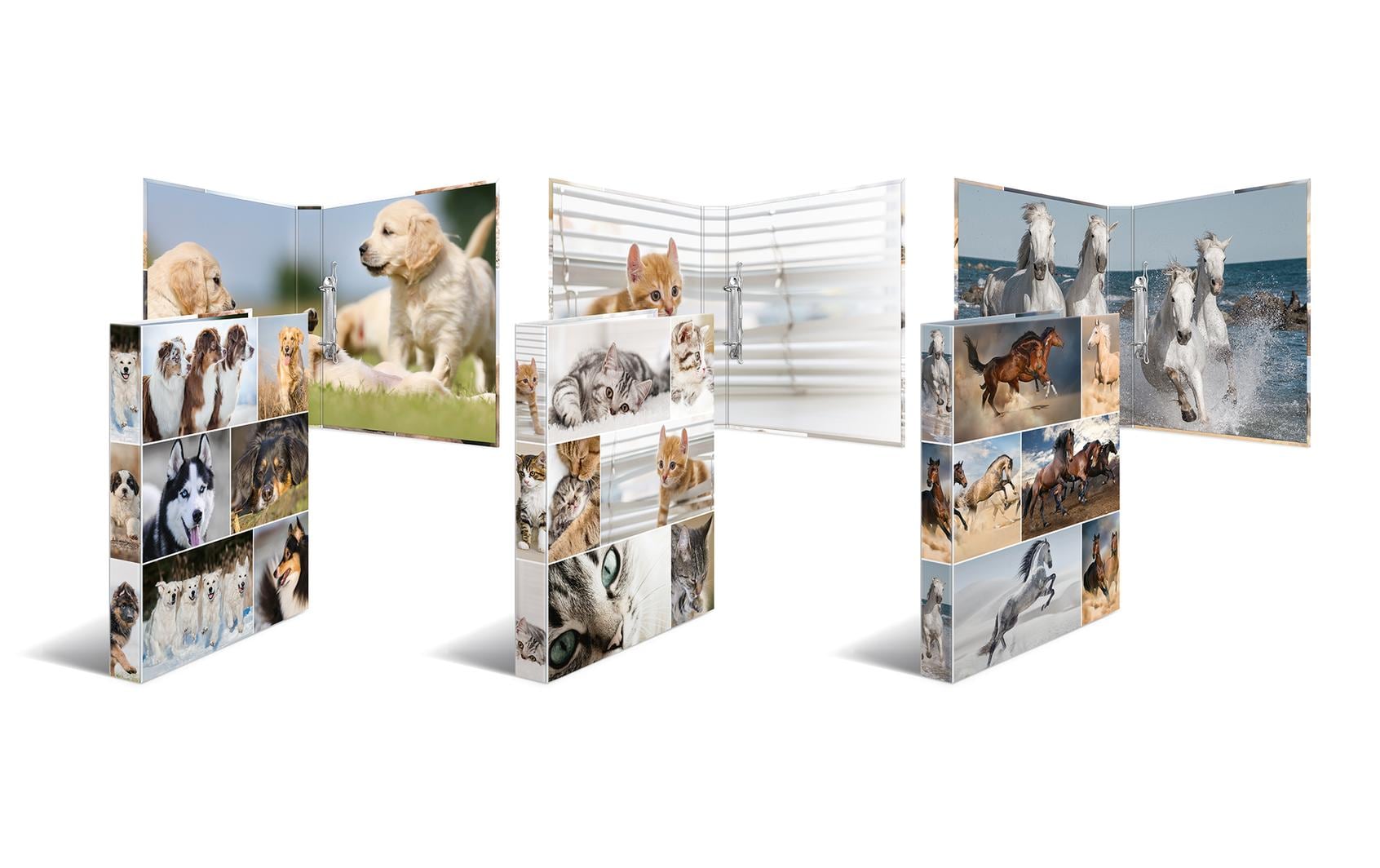 HERMA Zeigebuch Animals – A4 Hochformat – 2-Ring Bügelmechanik, Rücken 35 mm – Mehrfarbig, Karton, mit Niederhalte