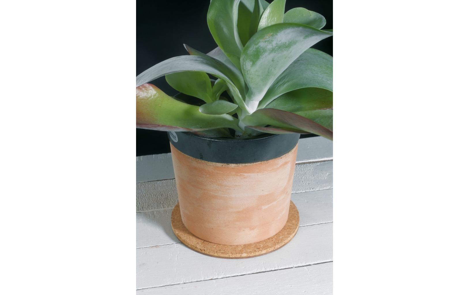 Colibri Topfuntersetzer – Ø 25 × 0,7 cm – Kork, Braun
