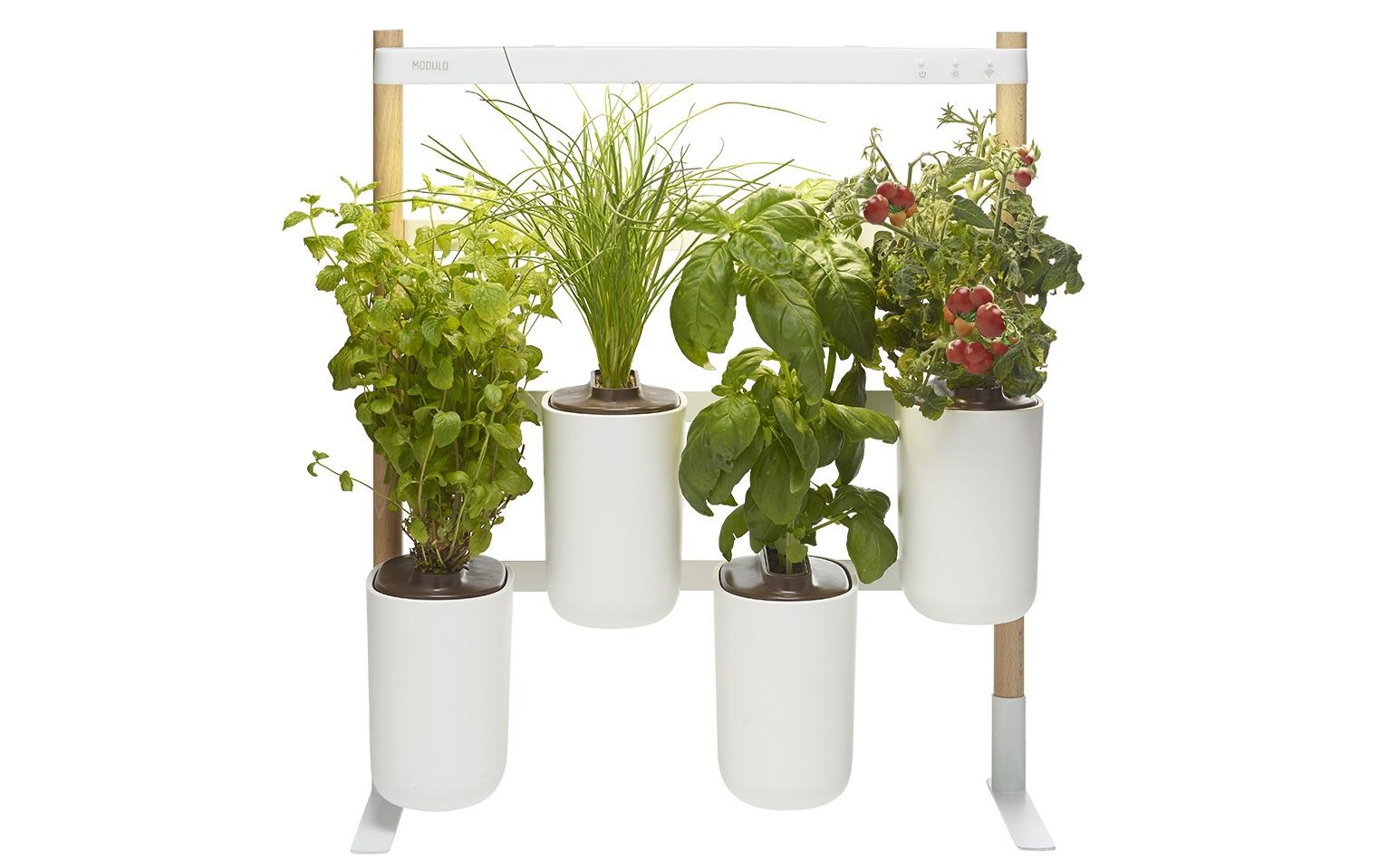 Prêt à Pousser – Kräutergarten, 30,5 × 13,5 × 47 cm, Kunststoff, Weiss, Oval, für Innen
