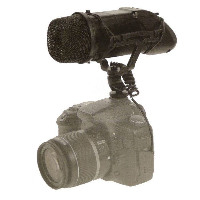 Dörr CV03 – Richtrohrmikrofon, Keule/Richtrohr, Kondensator, Video, für SLR-Camcorder, Schwarz