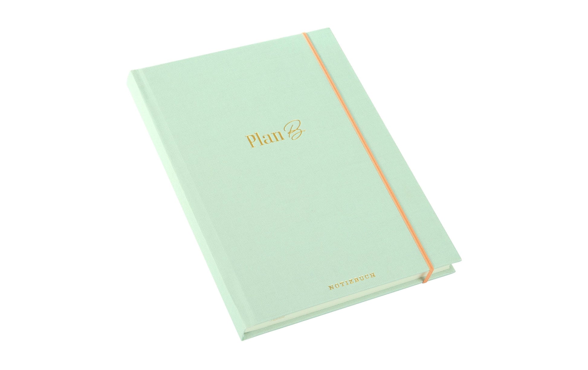 Goldbuch Notizbuch – A5 – punktiert 5 mm – 200 Seiten – 100 g/m² – Hardcover, Gummiband – hellgrün
