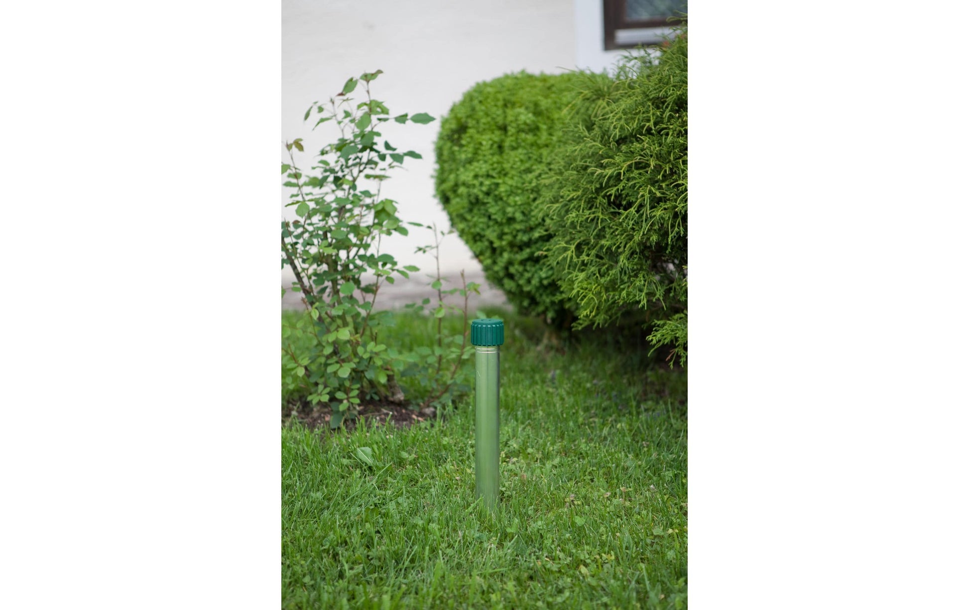 Windhager Wühlmaus-Schocker – 5,5 × 42 cm – grün – Aluminium – für Maulwürfe und Wühlmäuse