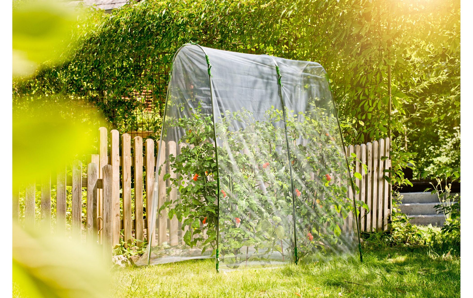 Windhager Tomaten-Folientunnel-Set – 27 × 200 × 270 cm, Folie, Transparent