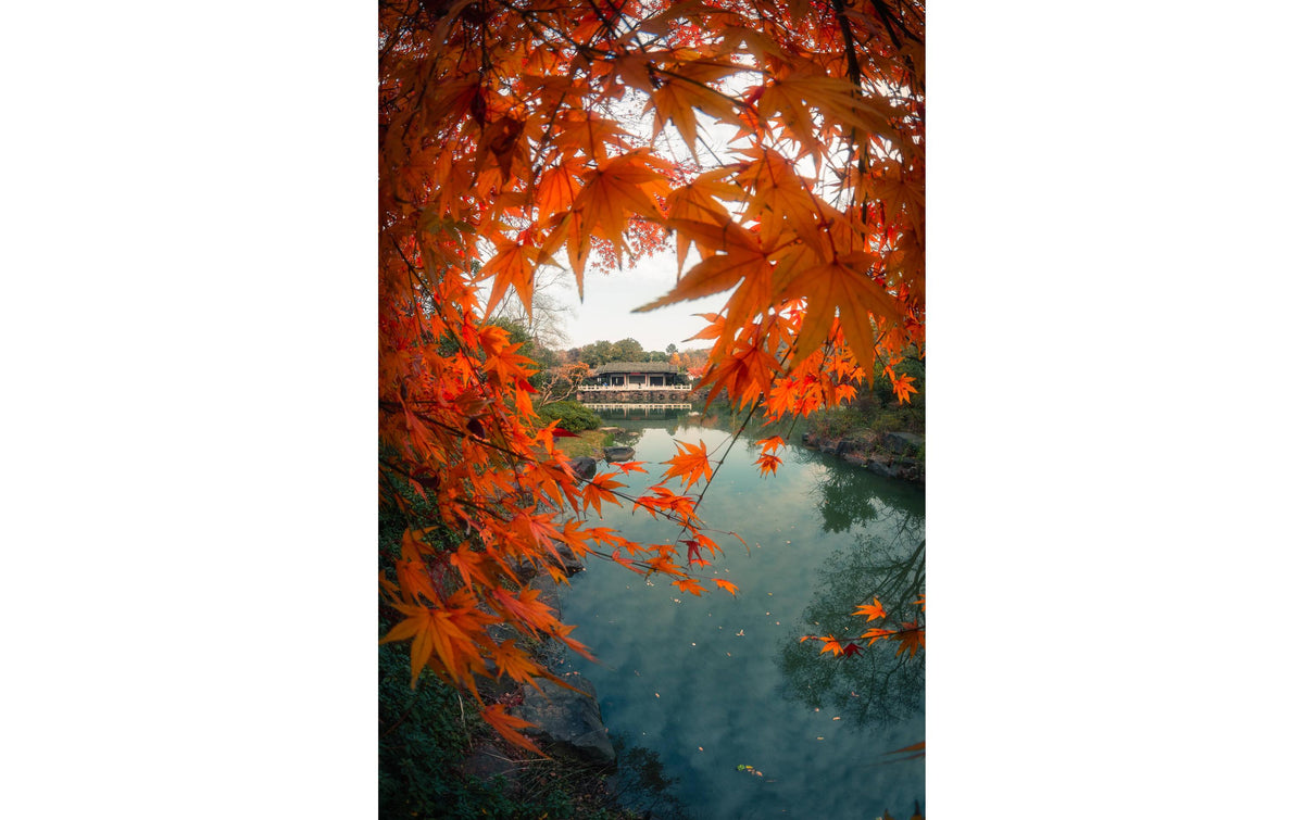 7Artisans 7,5mm F2.8 MKII MFT-Bajonett Objektiv – 7,5 mm f/2.8 – für Micro-Four-Thirds (MFT)
