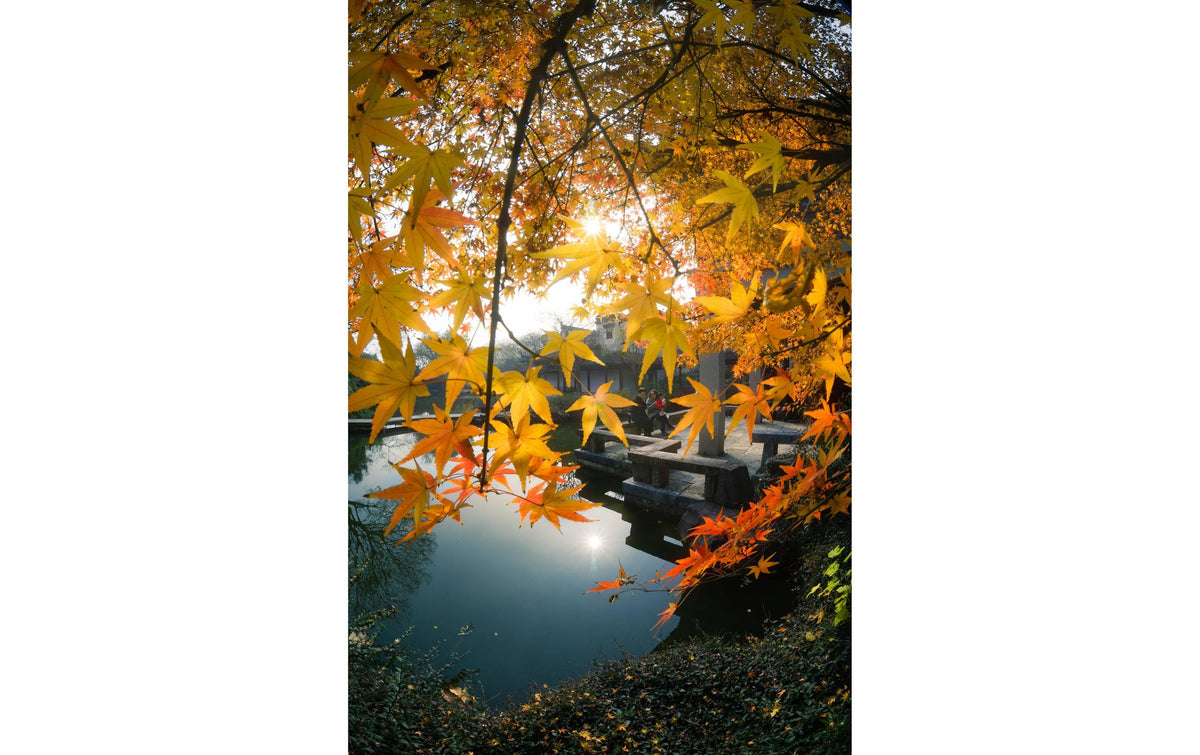 7Artisans 7,5 mm F2.8 MKII Fischaugenobjektiv – für Nikon Z – APS‑C, manuell, 190°
