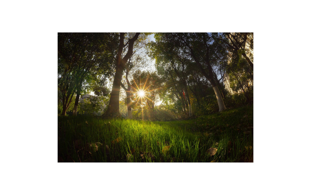 7Artisans 7,5mm F2.8 MKII MFT-Bajonett Objektiv – 7,5 mm f/2.8 – für Micro-Four-Thirds (MFT)
