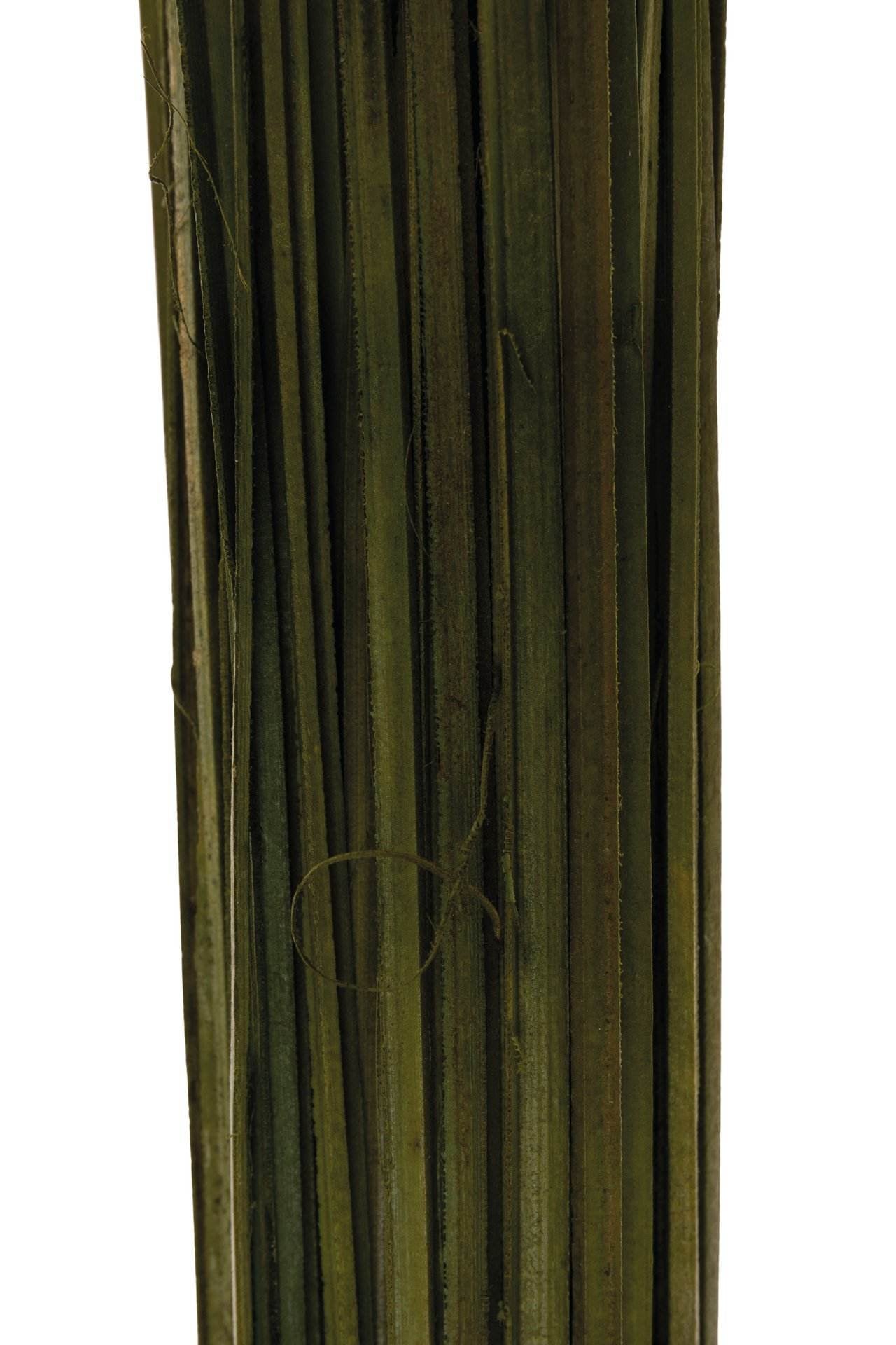 Opiflor Naturmaterialien, Rattan, Grün, 70 cm, 1 Stk., 211026