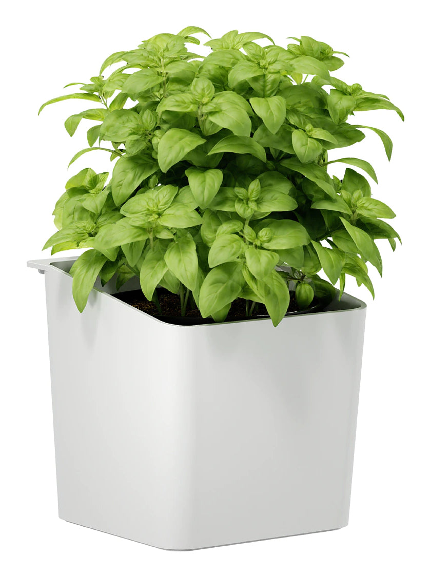 Tesa Kräutertopf – 2,5 l – eckig, mit Wandhalterung – ABS – grau – 13,5 × 13,5 × 14 cm