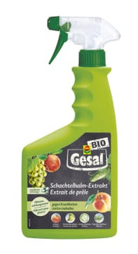 Gesal Schachtelhalm-Extrakt – 750 ml – Bio – Spray – für Gemüse, Garten, Obst