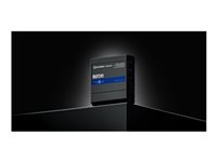 Teltonika RUT241 – WLAN-Router – Wi-Fi 4 (2,4 GHz)