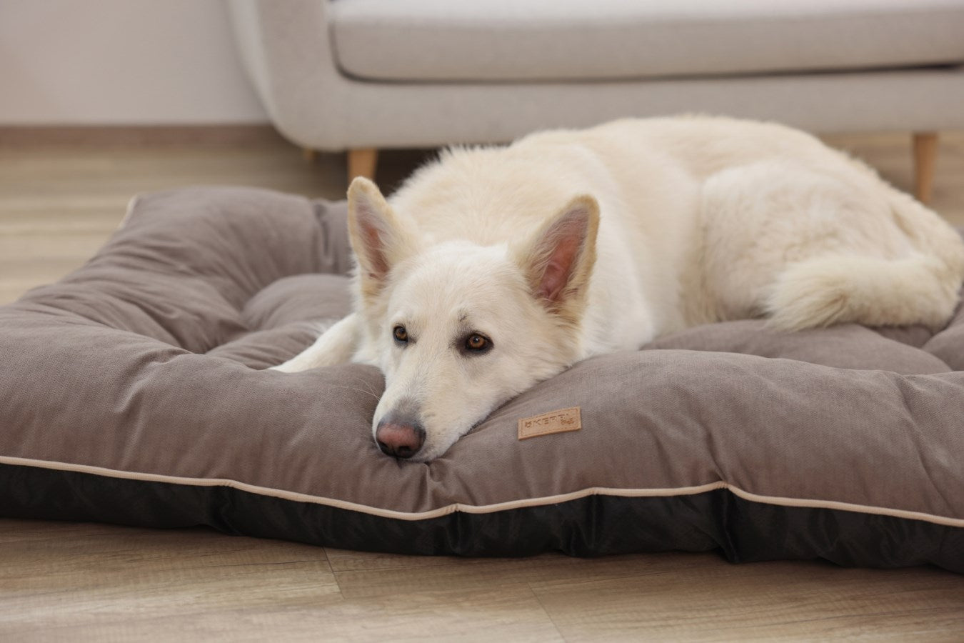 Kerbl Benno Hundekissen – 75 × 100 × 12 cm, Polyesterbezug, abnehmbarer Bezug, Anti-Rutsch-Basis, Braun