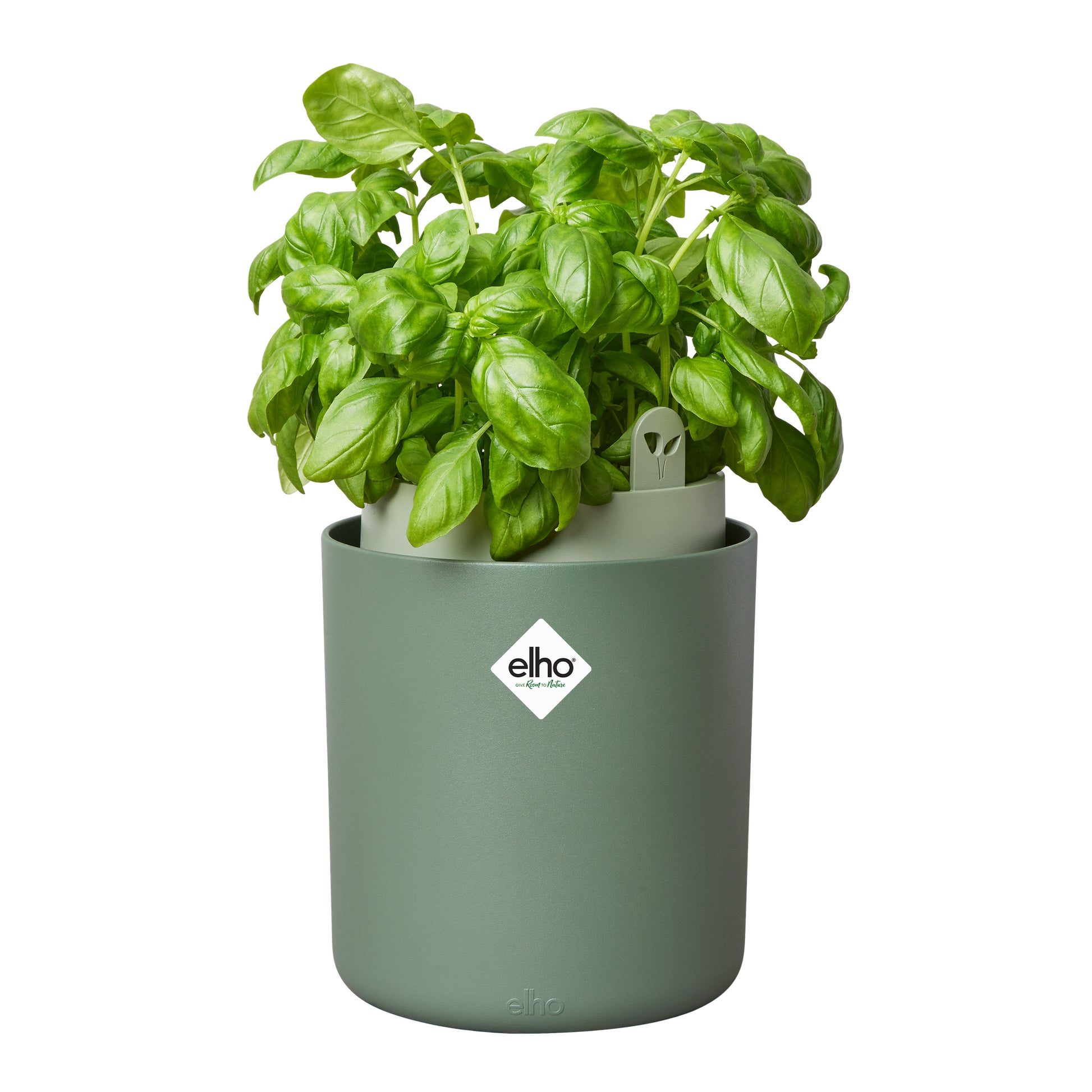 elho Bouncy Basil Schale – Kunststoff, Grün – Ø 17 × 21 cm