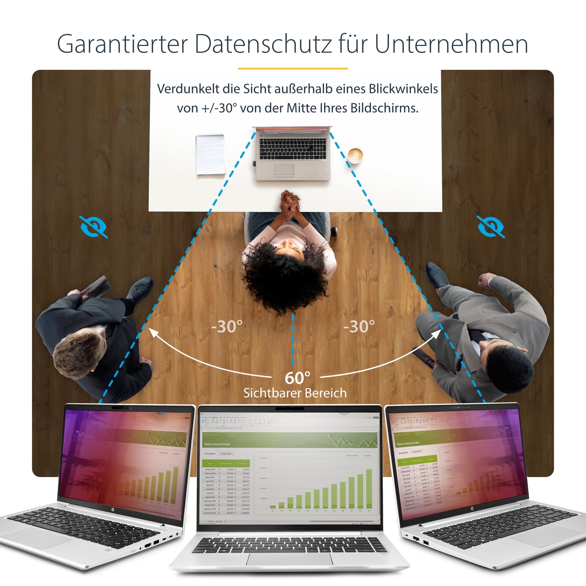 StarTech.com Displayschutz für 14" Laptop – Gold
