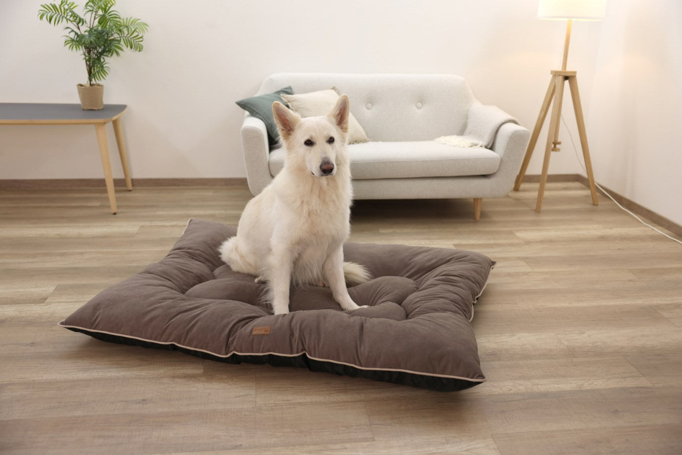Kerbl Benno Hundekissen – 75 × 100 × 12 cm, Polyesterbezug, abnehmbarer Bezug, Anti-Rutsch-Basis, Braun