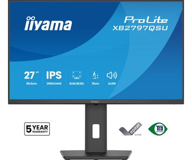 iiyama 27", 2560 × 1440 (WQHD)