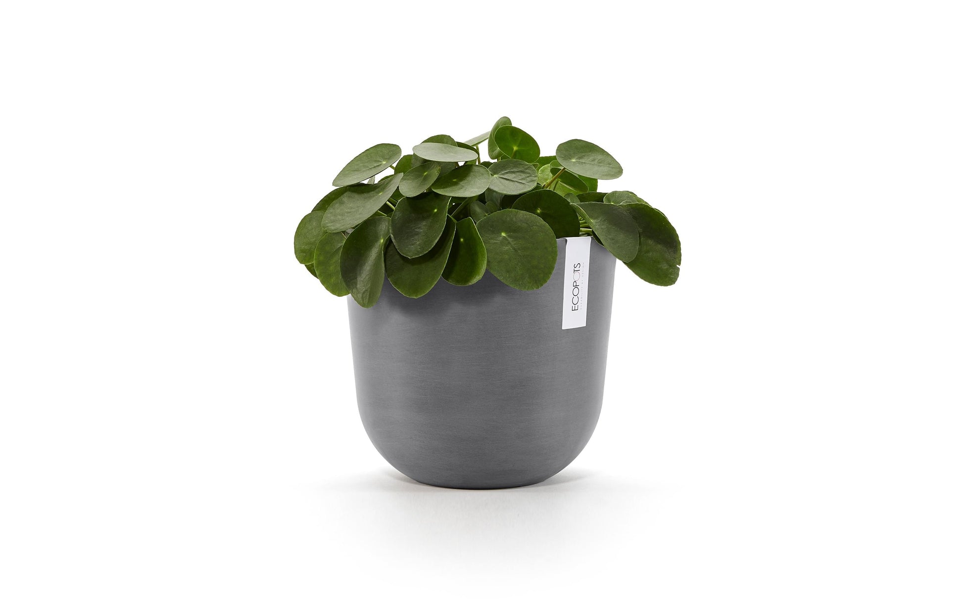 Permapack Ecopots Oslo Pflanzentopf – Ø 25 × 21,8 cm – Recycling-Kunststoff, Grau