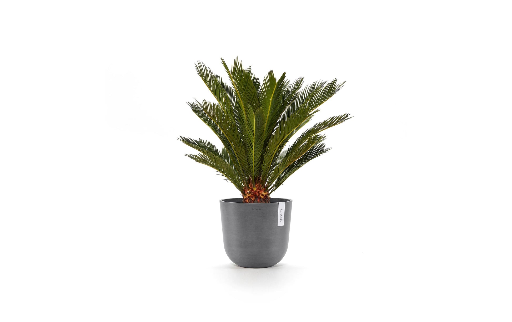 Permapack Ecopots Oslo Topfpflanzer – Ø 35 × 30,5 cm – Recycling-Kunststoff, Grau