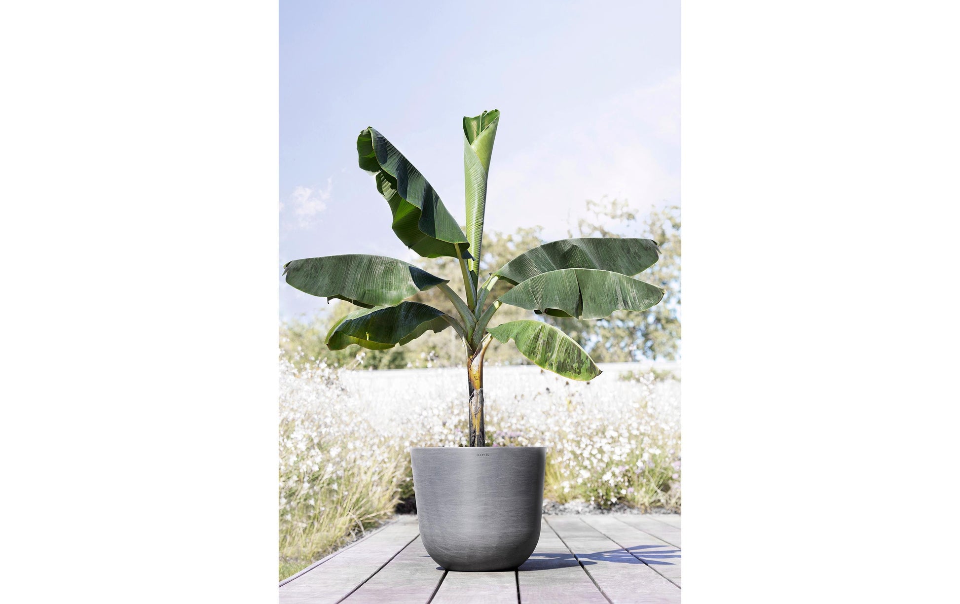 Permapack Ecopots Pflanzentopf – Ø 45 × 39,2 cm – Recycling-Kunststoff, Grau