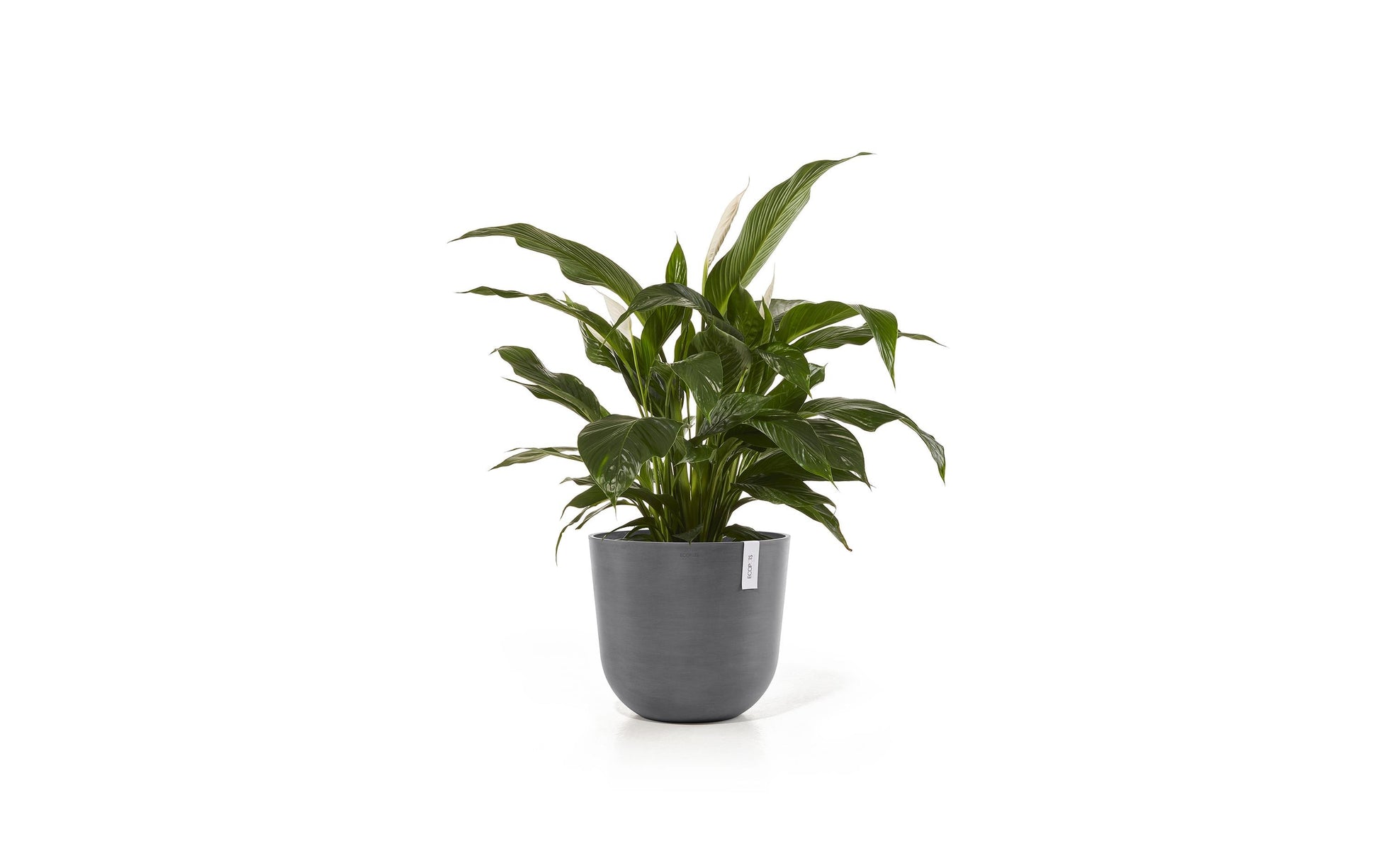 Permapack Ecopots Pflanzentopf – Ø 45 × 39,2 cm – Recycling-Kunststoff, Grau