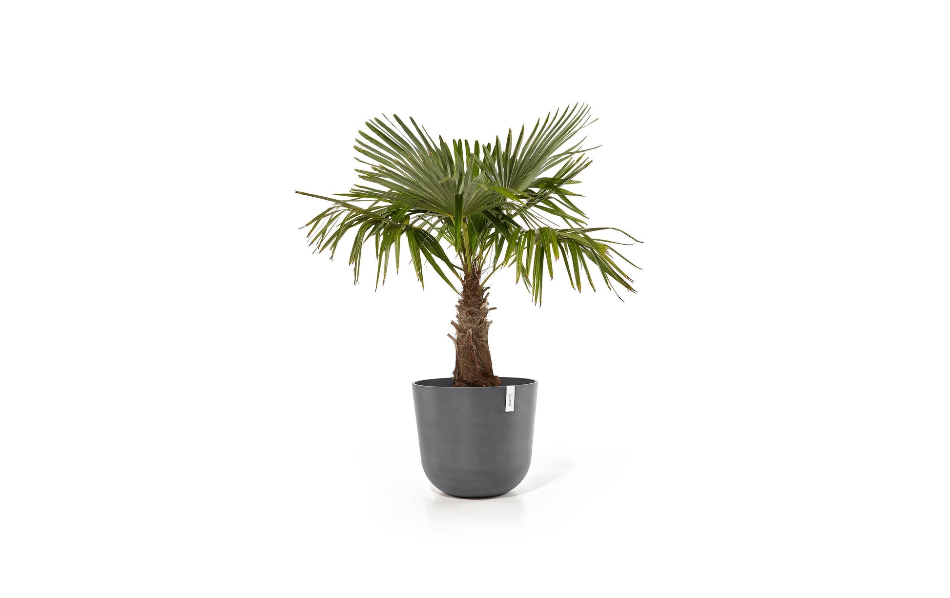 Permapack Oslo Pflanzentopf – Ø 55 × 47,9 cm – Kunststoff, Grau