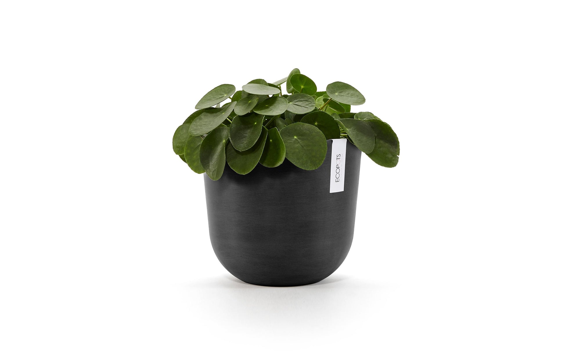 Permapack Ecopots Pflanzentopf – Ø 25 × 21,8 cm – Kunststoff, Dunkelgrau