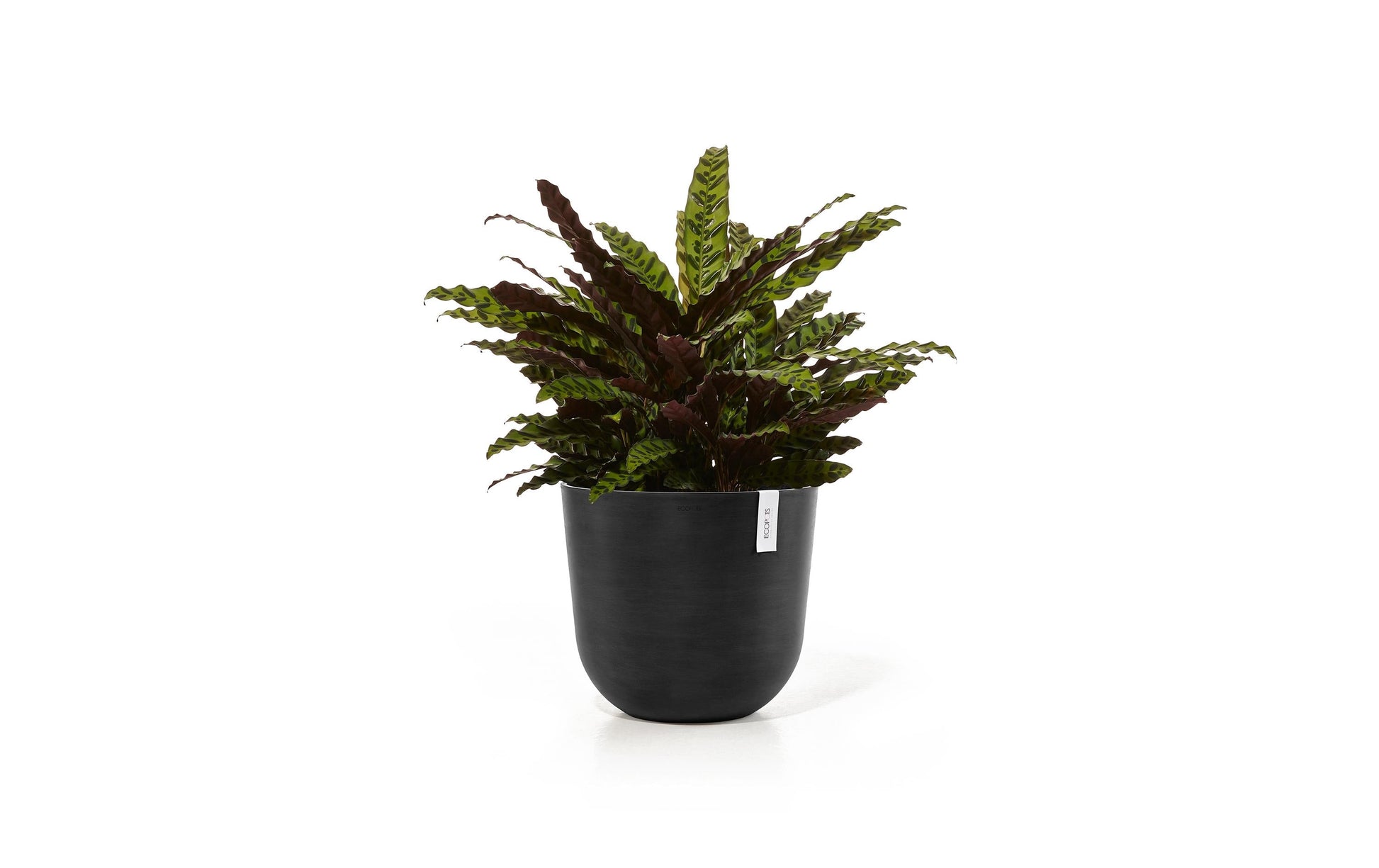 Permapack Ecopots Topfpflanzer – Ø 35 × 30,5 cm – Recycling-Kunststoff, Dunkelgrau