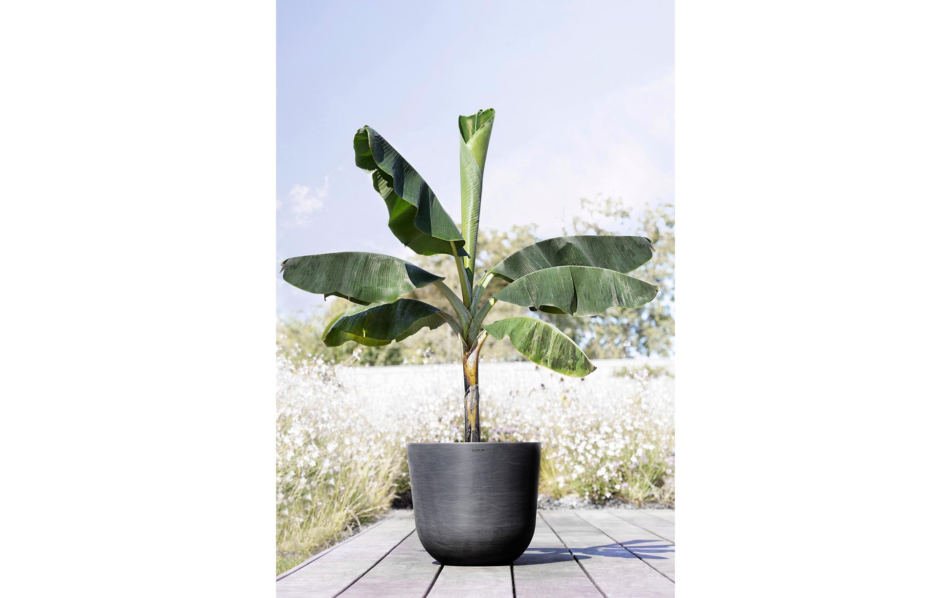 Permapack Ecopots Oslo 55 Pflanzentopf – Ø 55 × 47,9 cm – Recycling-Kunststoff, Dunkelgrau