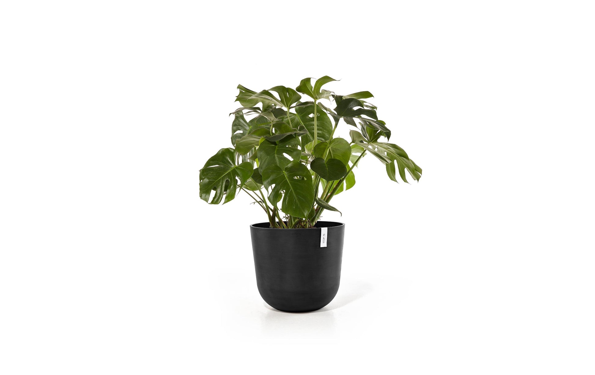 Permapack Ecopots Oslo 55 Pflanzentopf – Ø 55 × 47,9 cm – Recycling-Kunststoff, Dunkelgrau