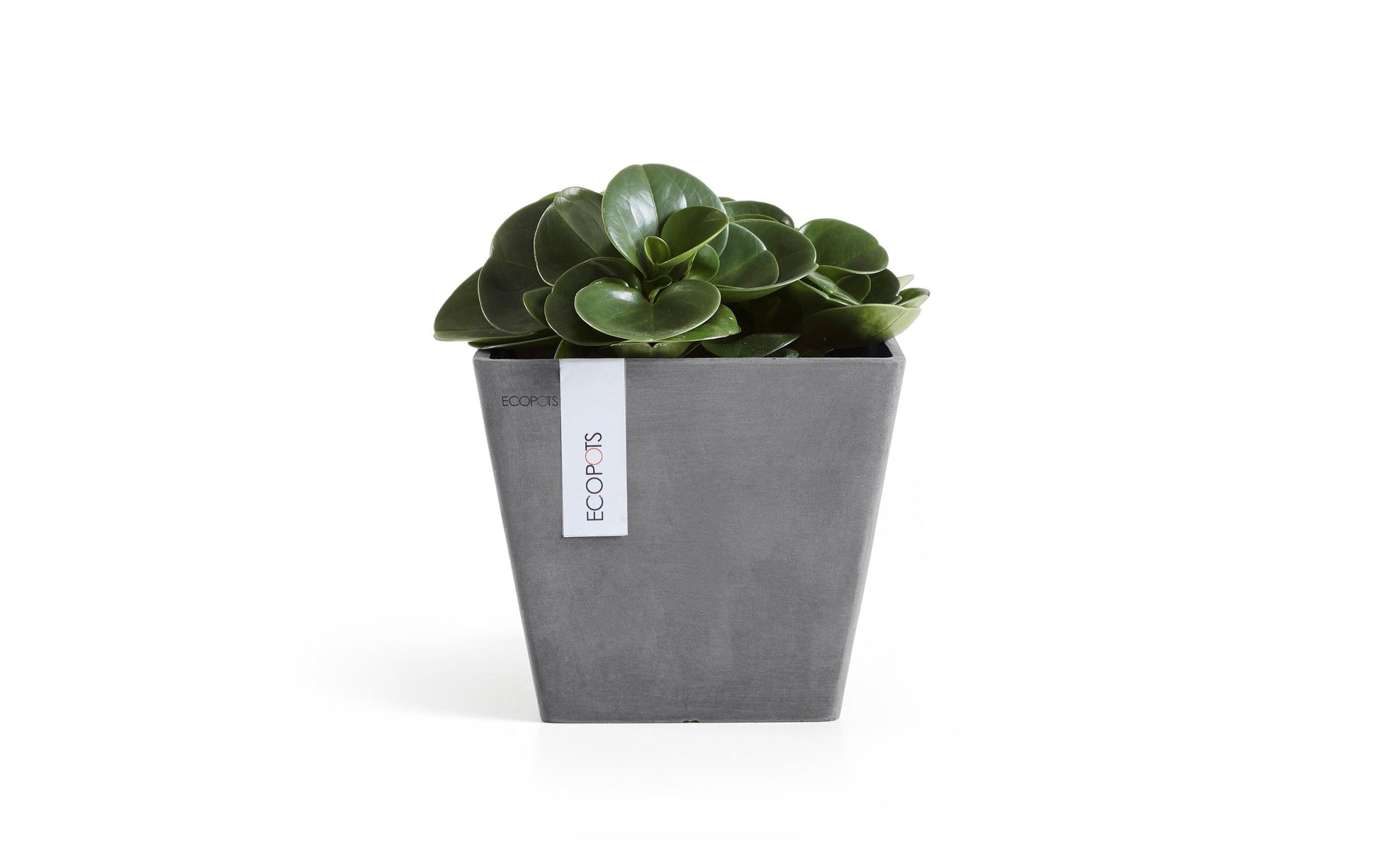 Permapack Ecopots Topfpflanzer – 20 × 17,5 × 20 cm – Kunststoff, grau