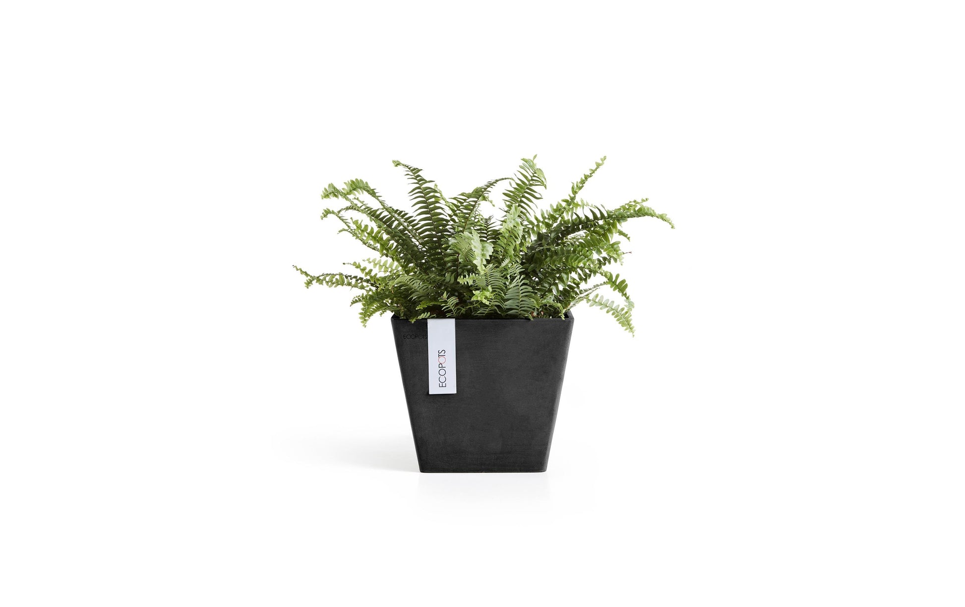 Permapack Ecopots Pflanzentopf – 30 × 30 × 26 cm – Recycling-Kunststoff, Dunkelgrau